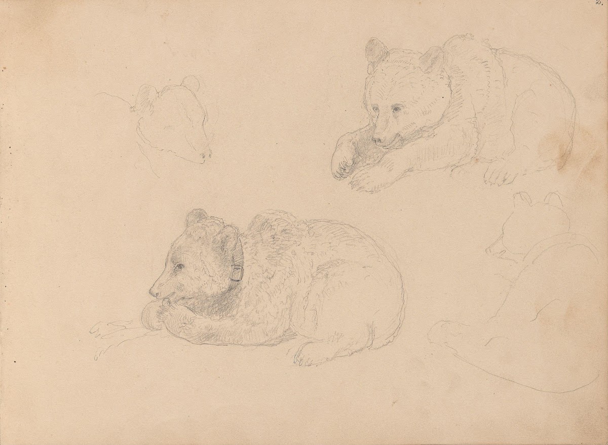 Studies of bear cubs Between 1861 and 1863