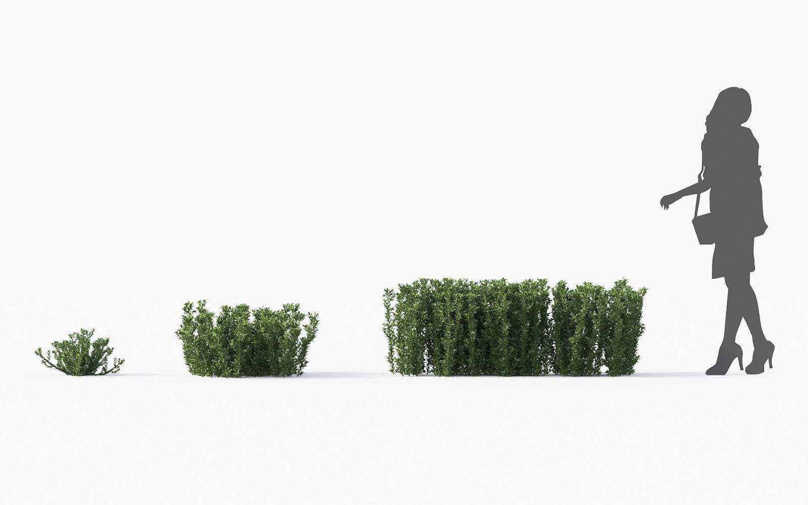 Maxtree - Plant Models Vol.28