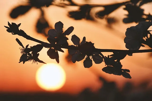 인플레이션 체감이 다른 이유: 물가상승률과 &lsquo;장바구니&rsquo; 프레임