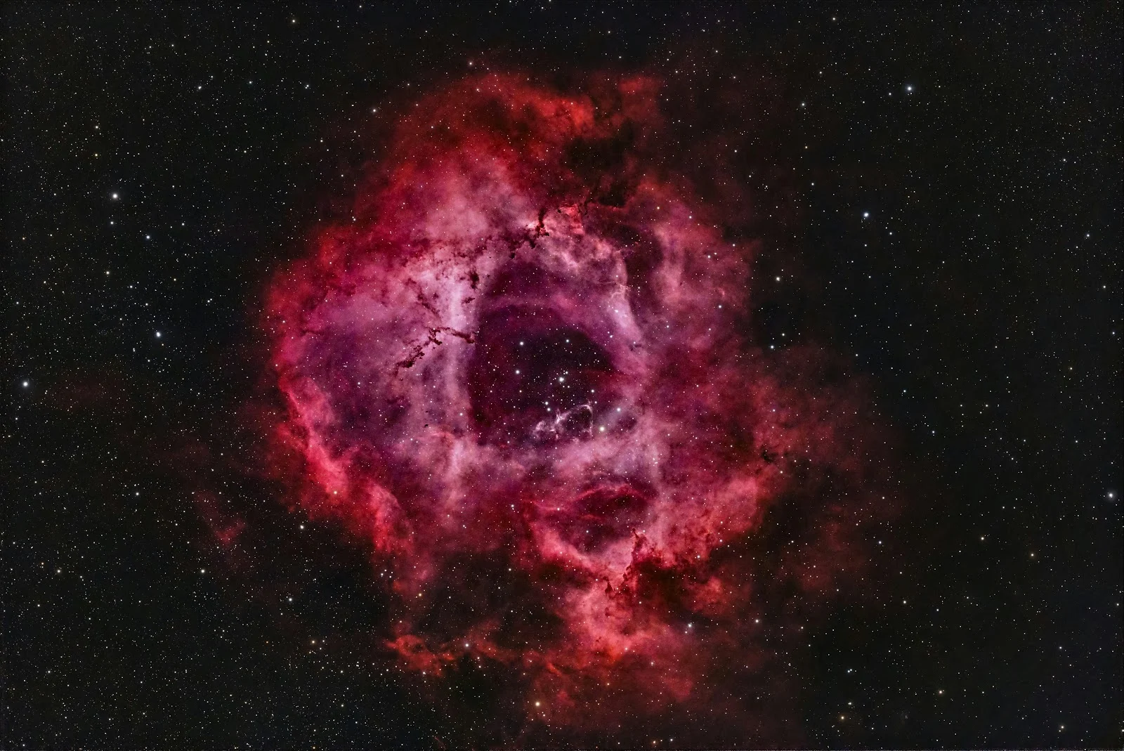 The Rosette Nebula - Deep Space Photography 5K Wallpaper (6248x4176)