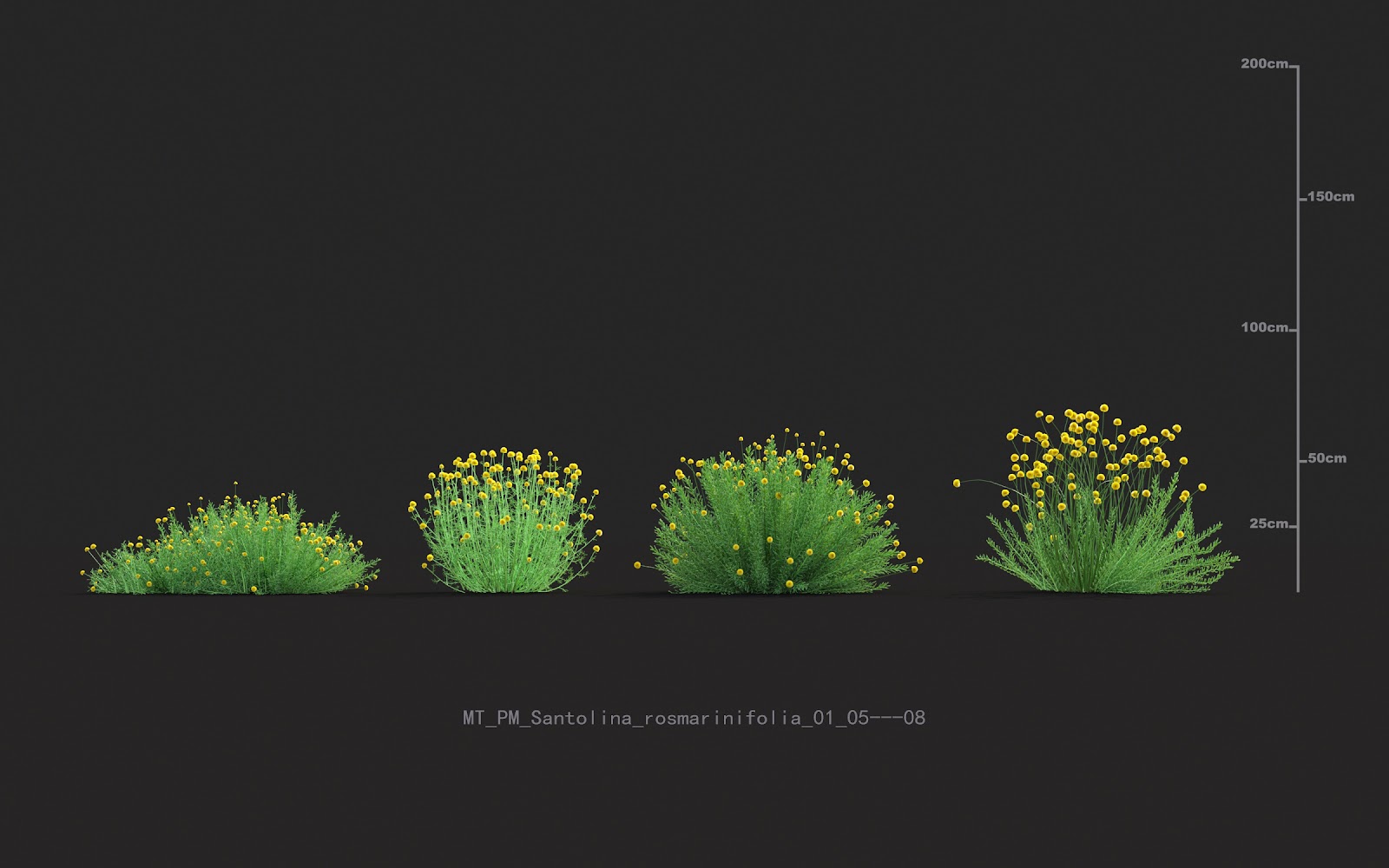 Maxtree - Plant Models Vol.20