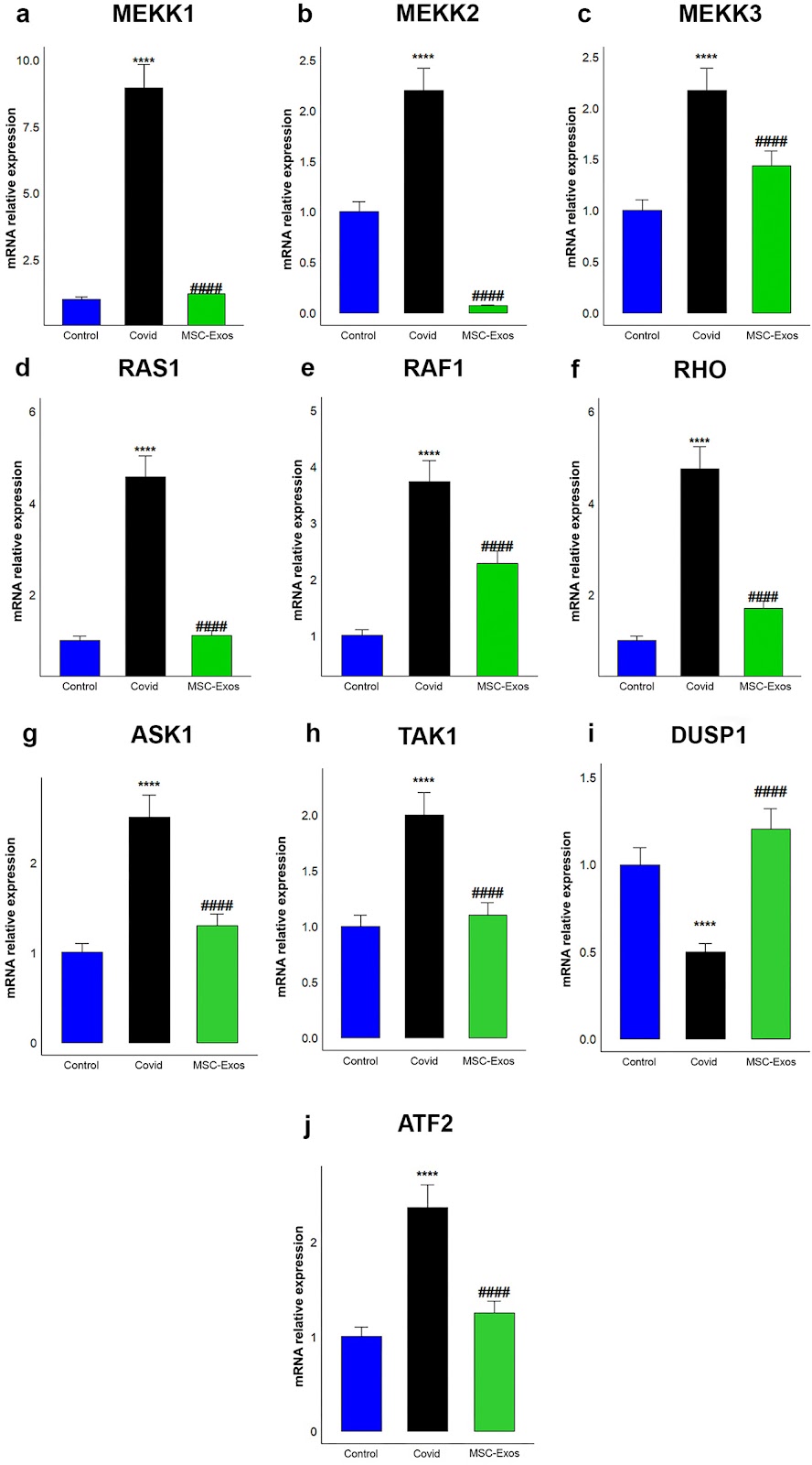 Mesenchymal stem cell derived exosomes mitigate COVID-19 cytokine storm via Annexin A1 and TGF-β mediated MAPK pathway inhibition