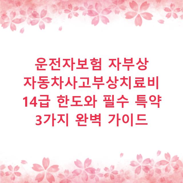 운전자보험 자부상 자동차사고부상치료비 14급 한도와 필수 특약 3가지 완벽 가이드