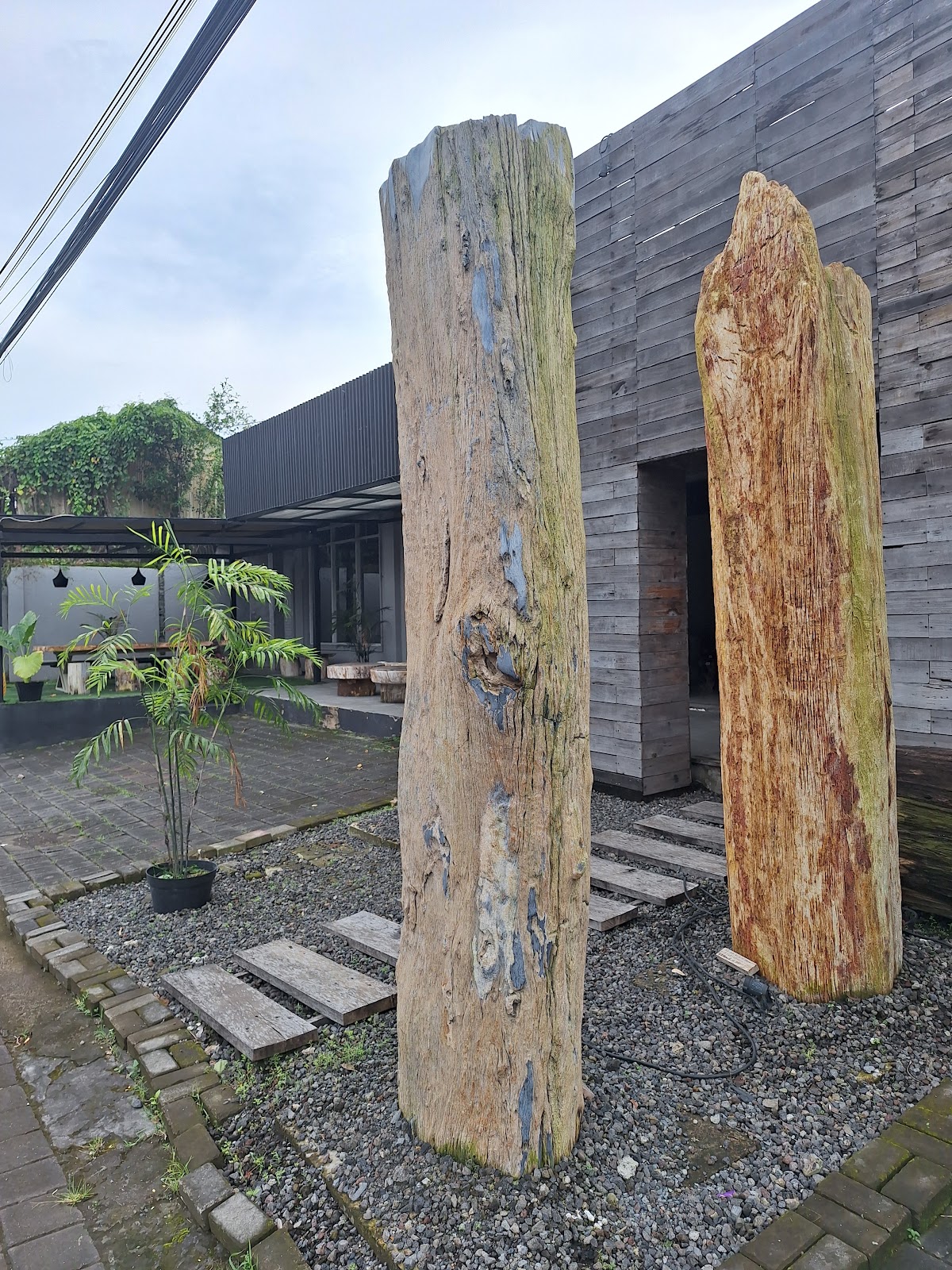 TREE — SKU TR.003 | Petrified Wood by PJ Antique Bali