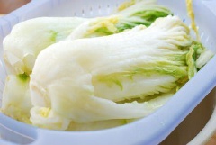 Bắp cải sau khi ủ muối, xìu xuống và có độ giòn sựt mềm mềm thì lấy ra, rửa lại với nước lạnh cho sạch lớp muối phủ. Bạn nên rửa 3 lần rồi vắt ráo cải thảo cho ra rổ. Lá mù tạt rửa sạch, cắt nhỏ. Củ cải trắng gọt vỏ, rửa sạch, cắt sợi. Hành lá cắt nhỏ. Cho lá mù tạt, hành, củ cải vào âu lớn, cho toàn bộ phần sốt gia vị vào, trộn đều lên cho món kim chi Hàn Quốc ngon hấp dẫn.
