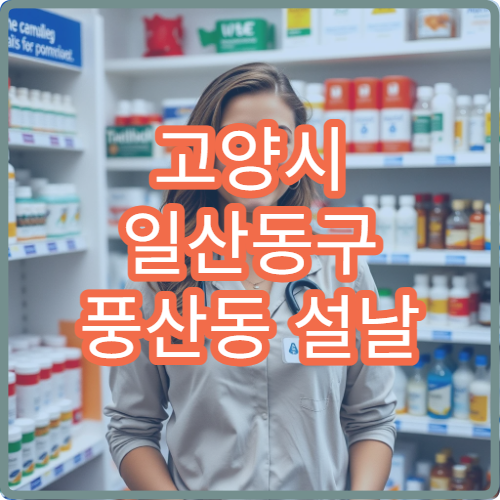 고양시 일산동구 풍산동 설날 명절 연휴 당번 약국 위치 안내