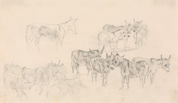 Studies of Donkeys