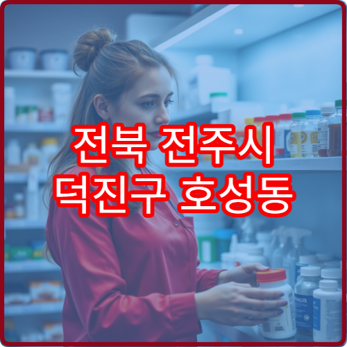 전북 전주시 덕진구 호성동 일요일 당번 약국 위치 안내 정보