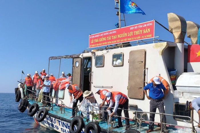 Hơn 1 triệu con giống các loại được thả tại Khu bảo tồn biển Hòn Cau - Báo Điện tử Tiếng nói Việt Nam