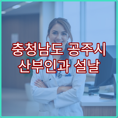 충청남도 공주시 산부인과 설날 연휴 출산·생리통 응급 상담 가능한 병원