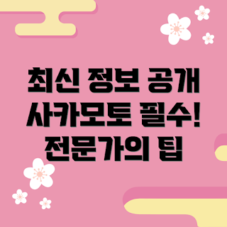 사카모토데이즈쿠지 정보, 최신 사카모토데이즈쿠지 특징, 어떻게 사카모토데이즈쿠지를 즐길까, 사카모토데이즈쿠지 꿀팁, 사카모토데이즈쿠지 추천 소스