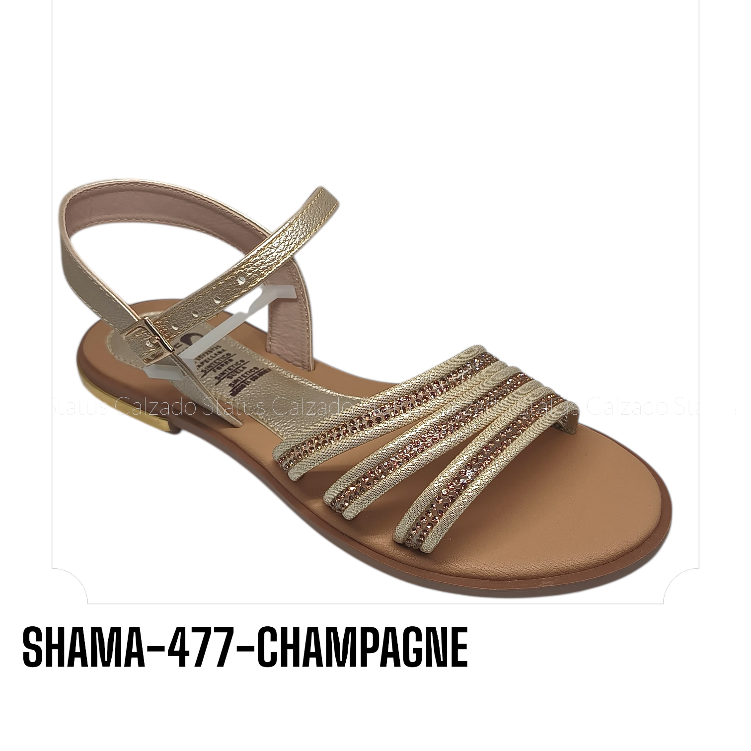 SHAMA-477-CHAMPAGNE