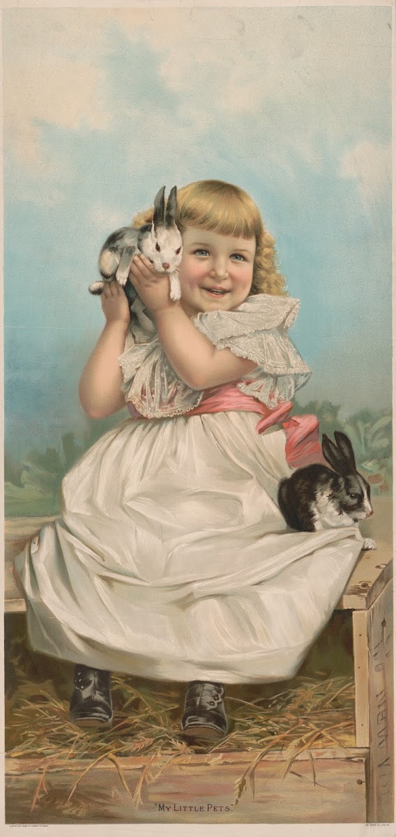 My little pets 1898