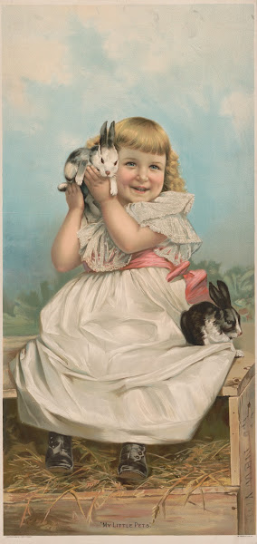 My little pets 1898