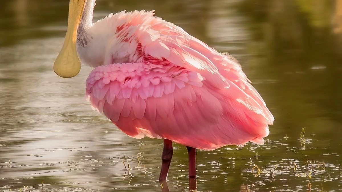 통신비 인하 정책의 배경과 경제적 파급 효과 분석