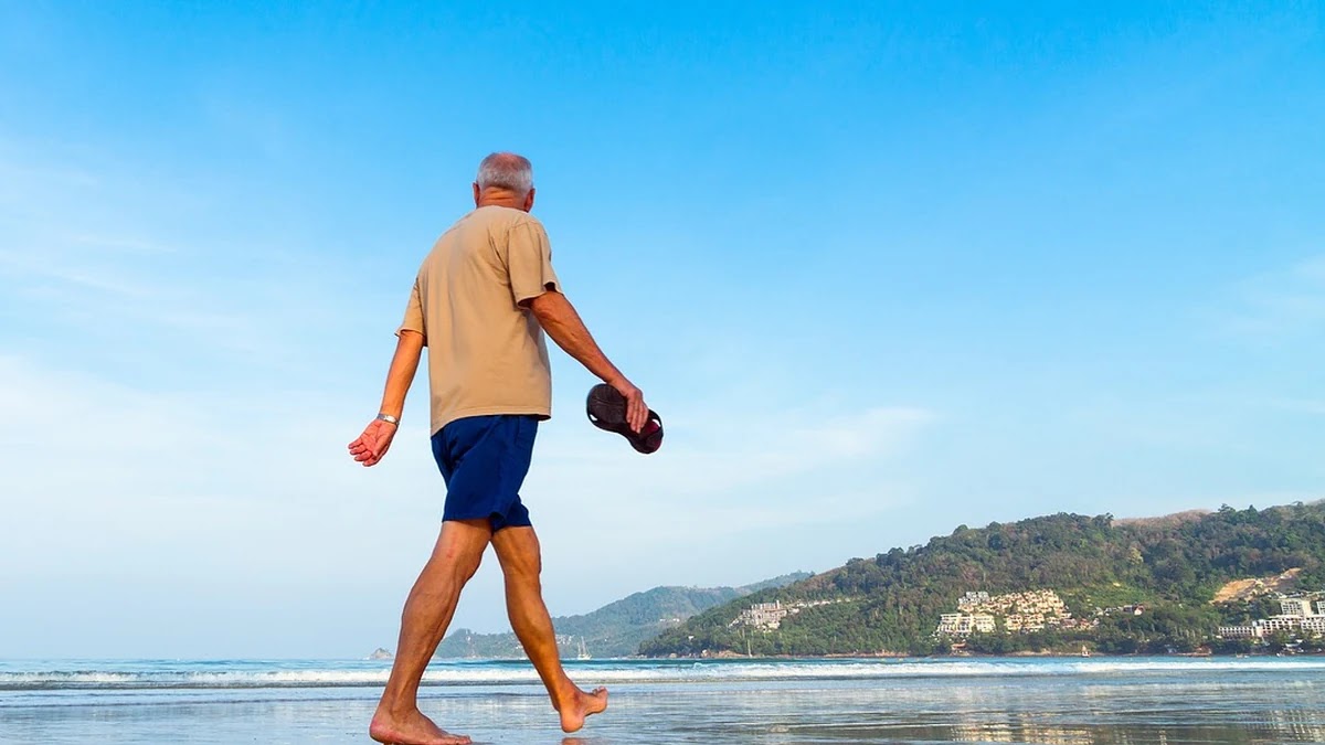 노화 예방을 위한 일일 영양 섭취 기준과 관리법