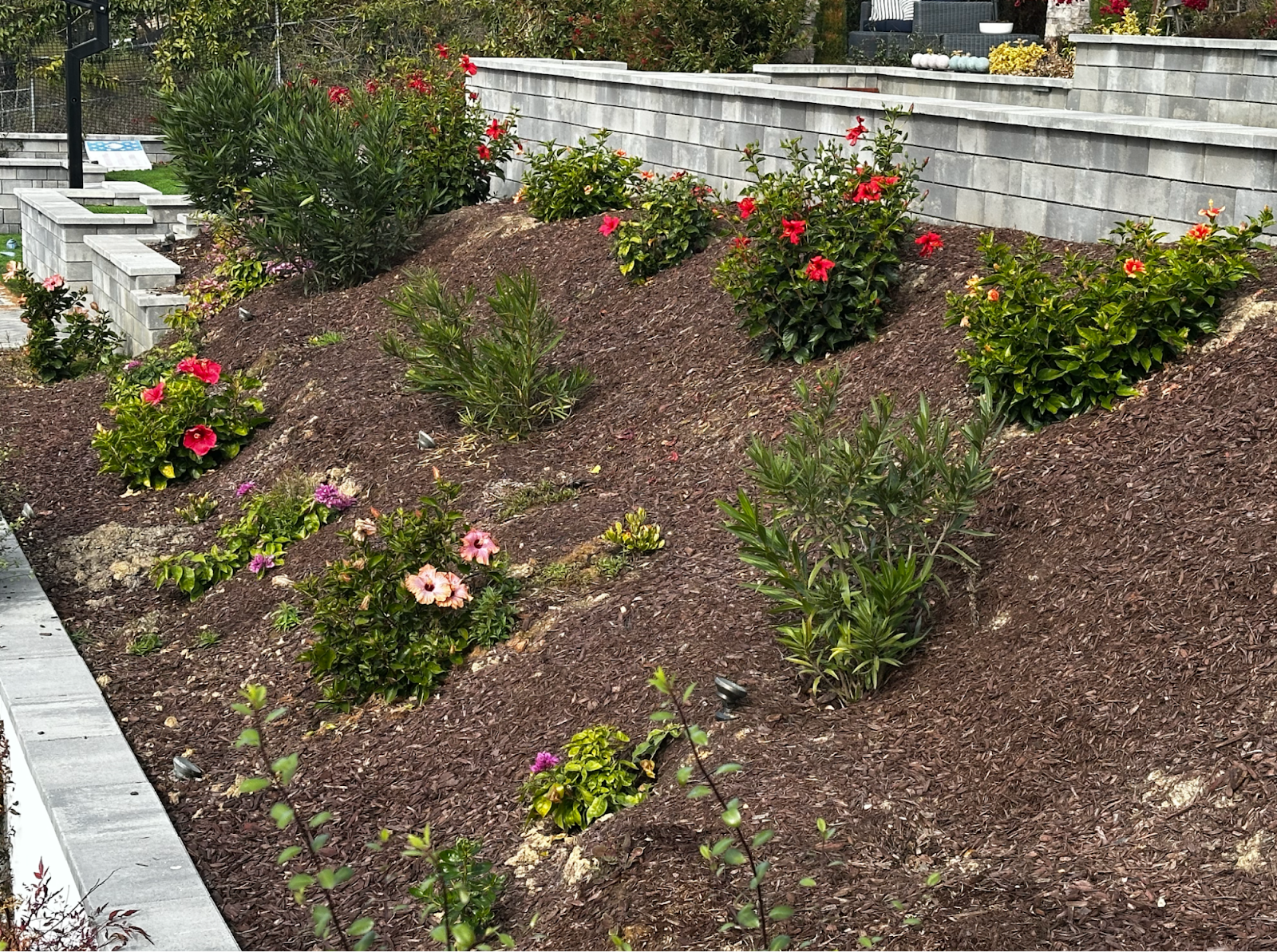 Ongoing backyard deterioration from defective Evo installation