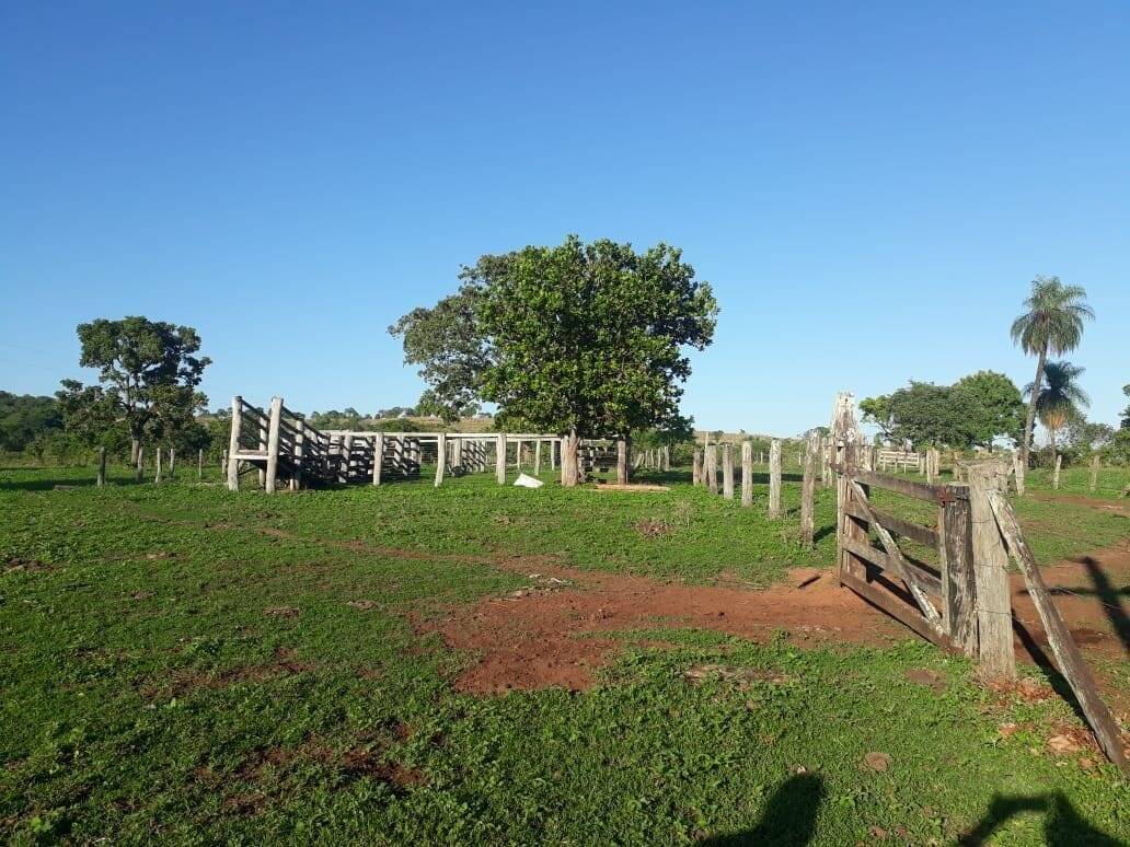 Fazenda em Palestina de Goiás-GO 7