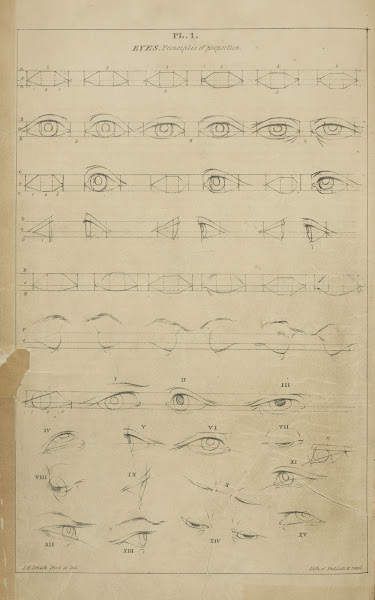 Eyes  principles of proportion 1831