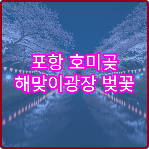 포항 호미곶 해맞이광장 벚꽃 캠핑 의자 피크닉 해돋이 명당 위치