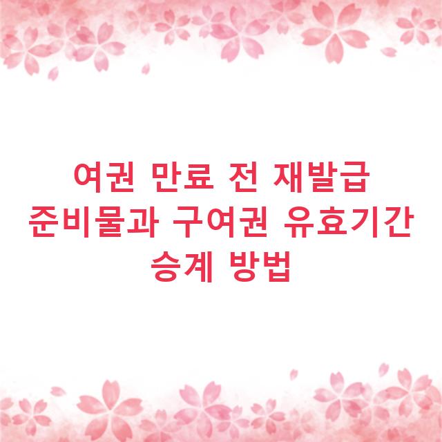 여권 만료 전 재발급 준비물과 구여권 유효기간 승계 방법