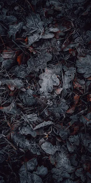 Pattern, Metal, Design, Light, Darkness 5K iPhone Wallpaper Background