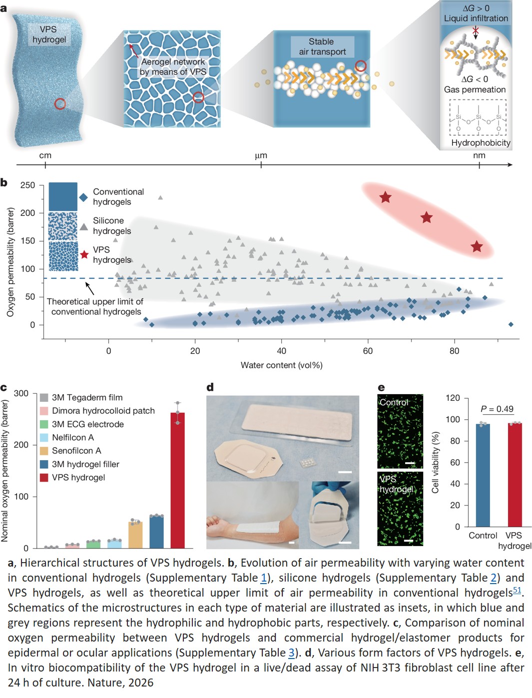 Air-permeable hydrogels through viscoelastic phase separation of aerogels