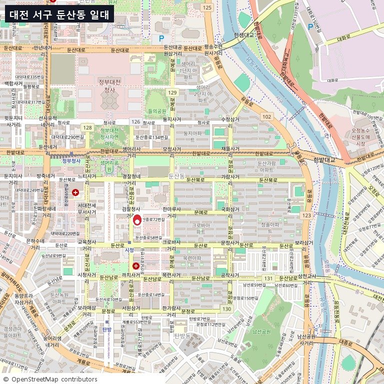 대전 서구 둔산동 메트로팰리스 위치 — 광역