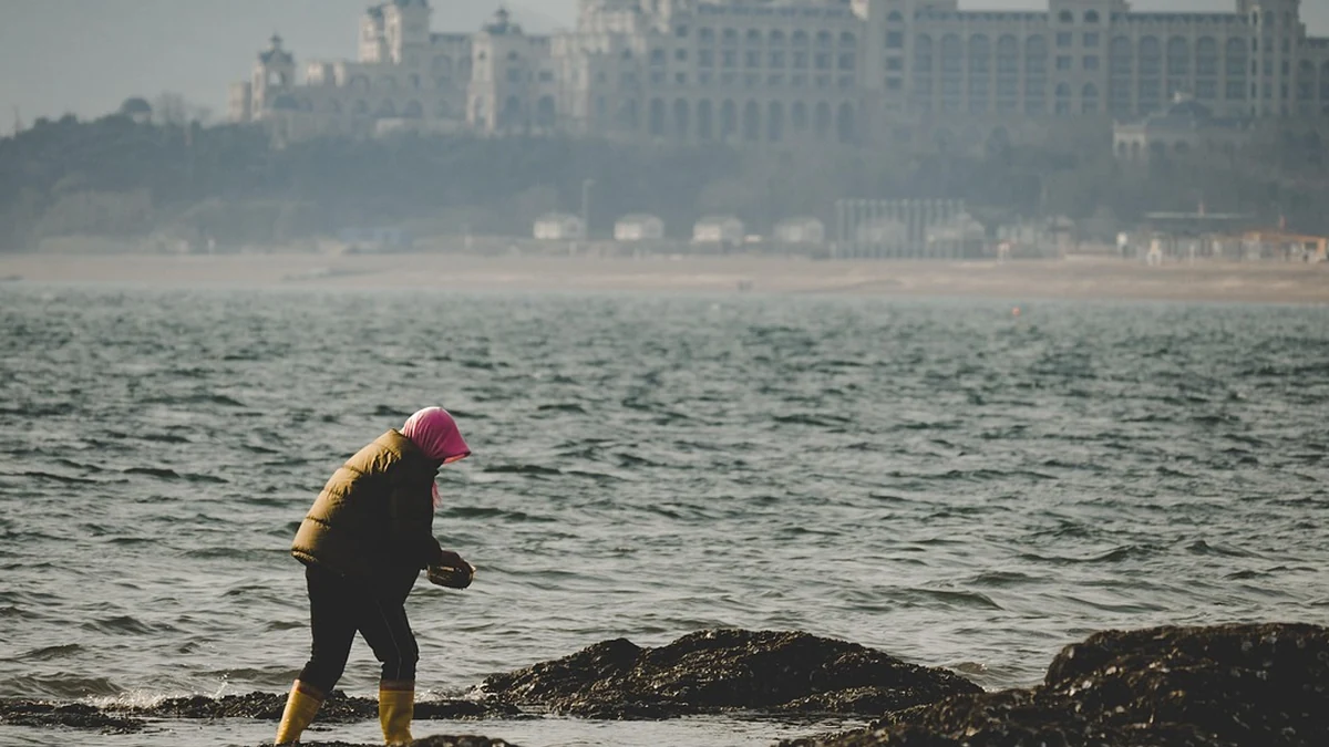 노동 시장 이중구조의 정치·사회적 배경과 경제적 의미 해설