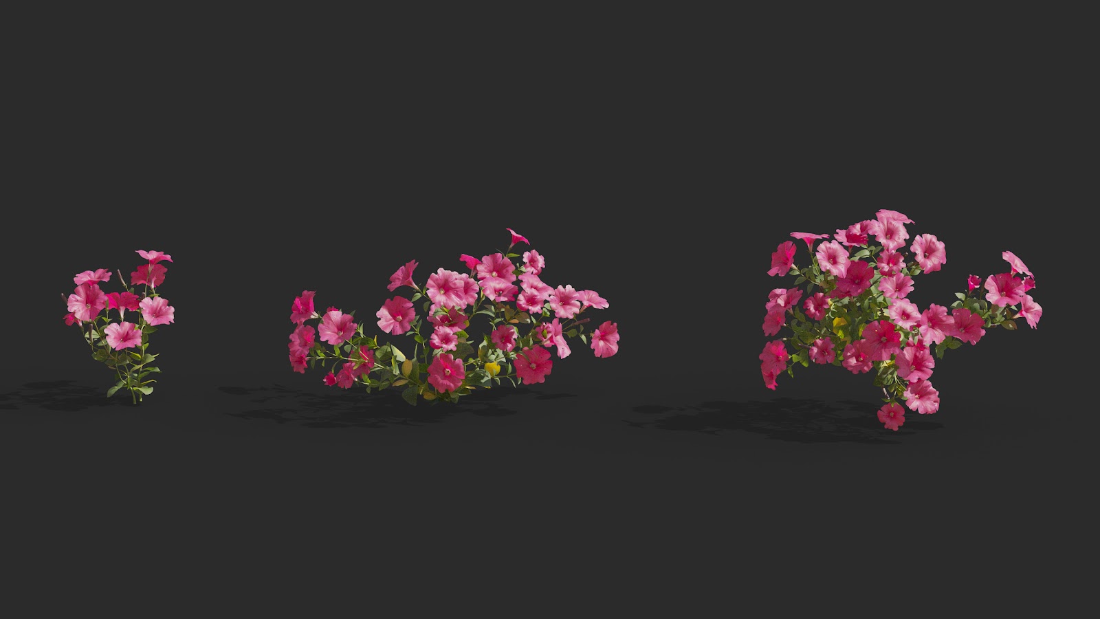 Maxtree - Plant Models Vol.64