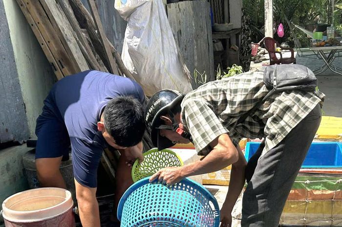 Bán tôm 'non' vì nắng nóng kéo dài - Báo Đại Đoàn Kết