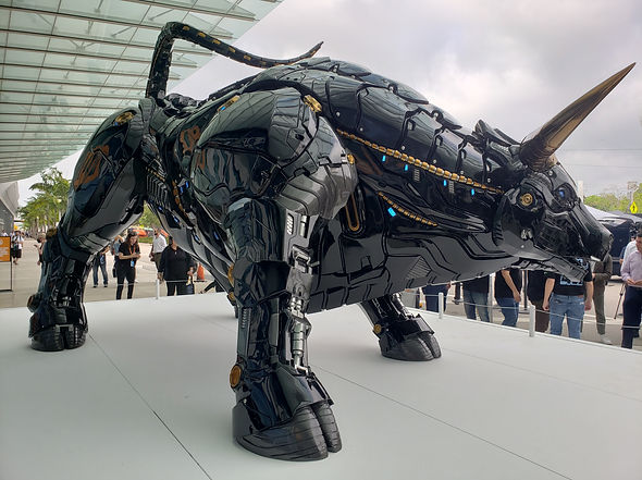 Miami Bull