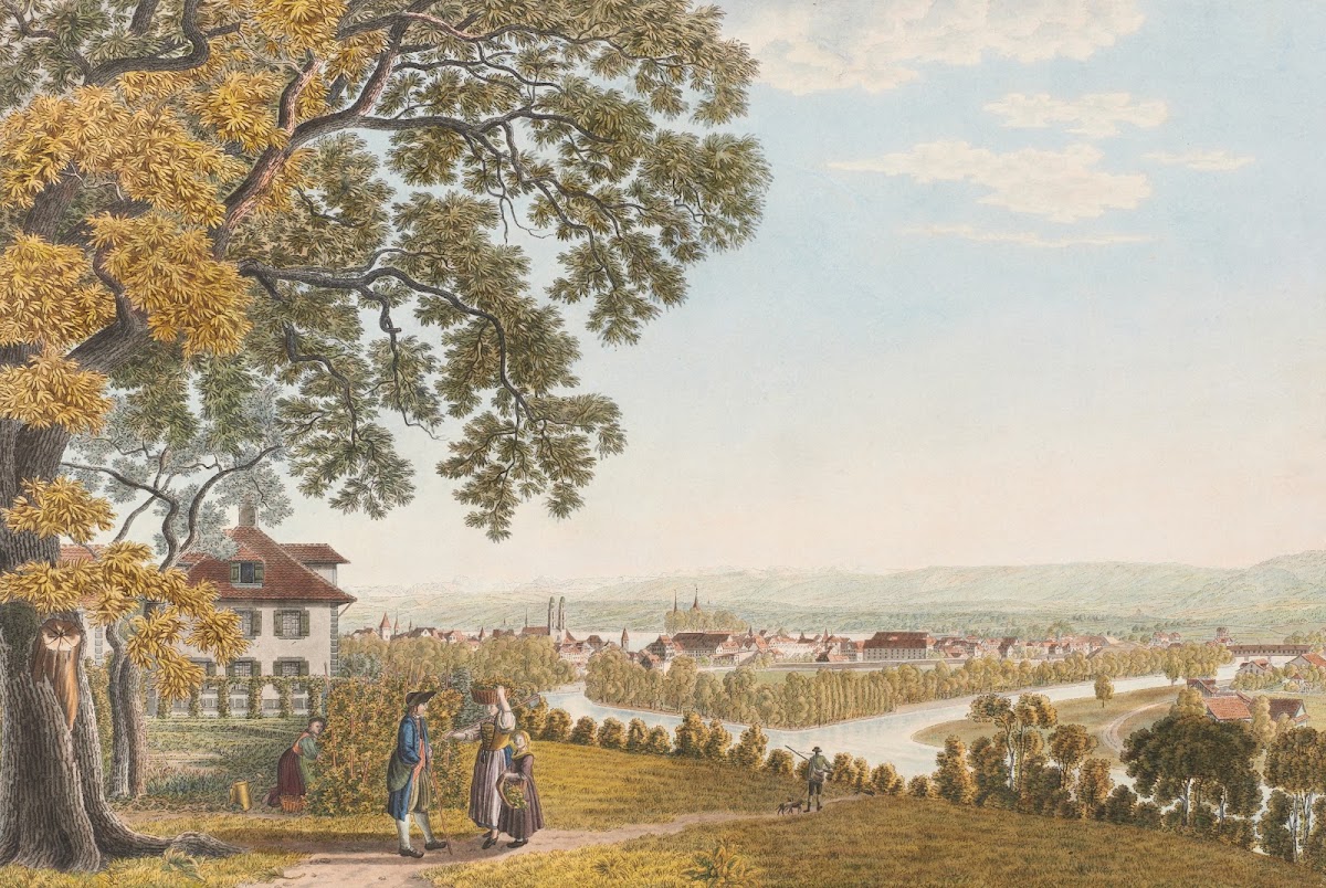 Zürich von Norden