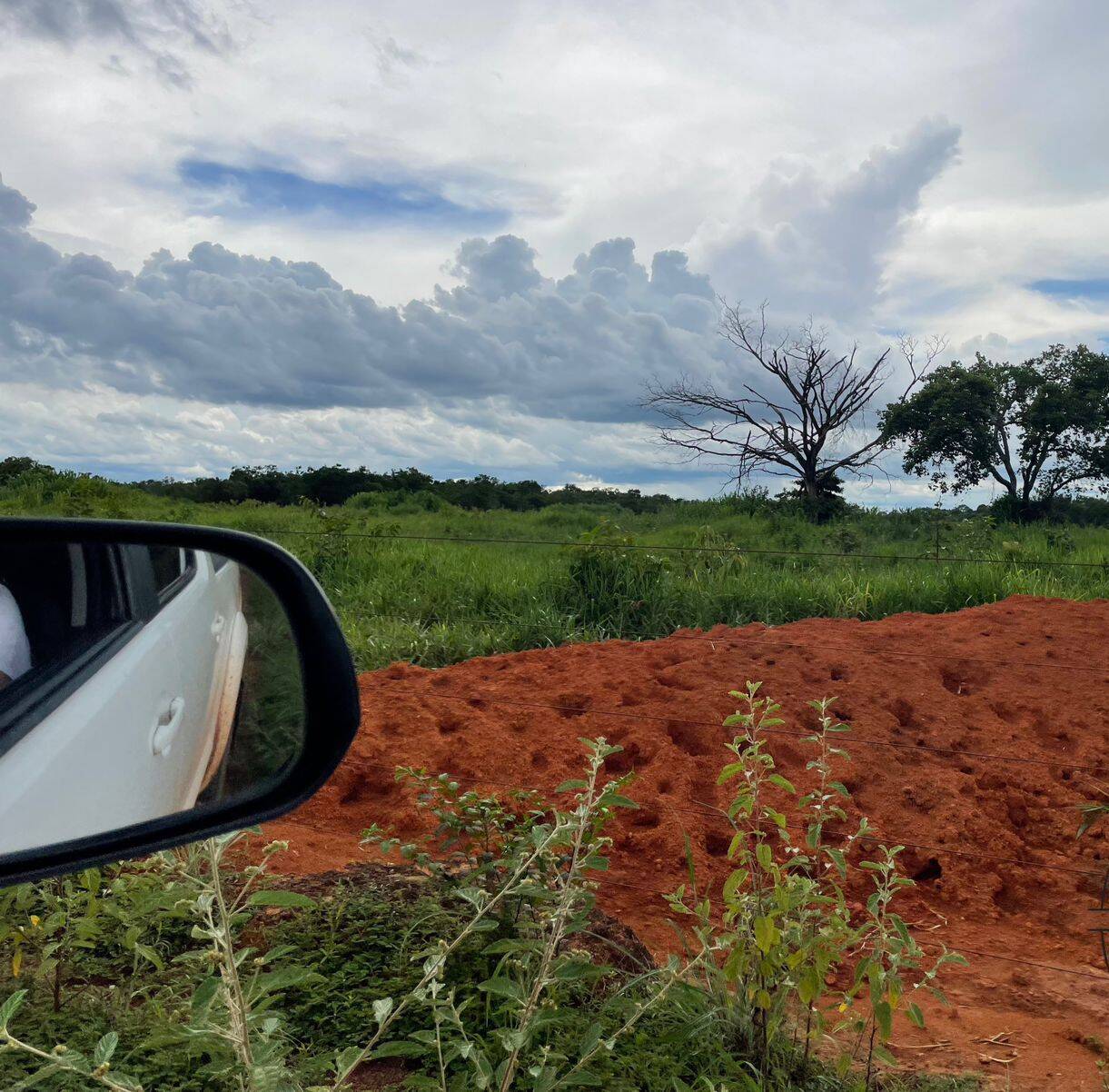 Fazenda no Município de Porangatu - GO 2