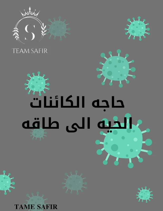 صورة الغلاف