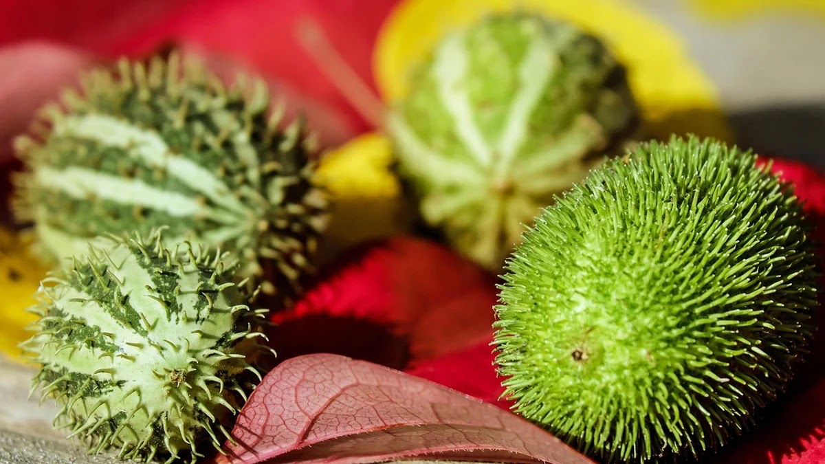 2026년 알뜰폰 요금제 선택 가이드와 절약 전략