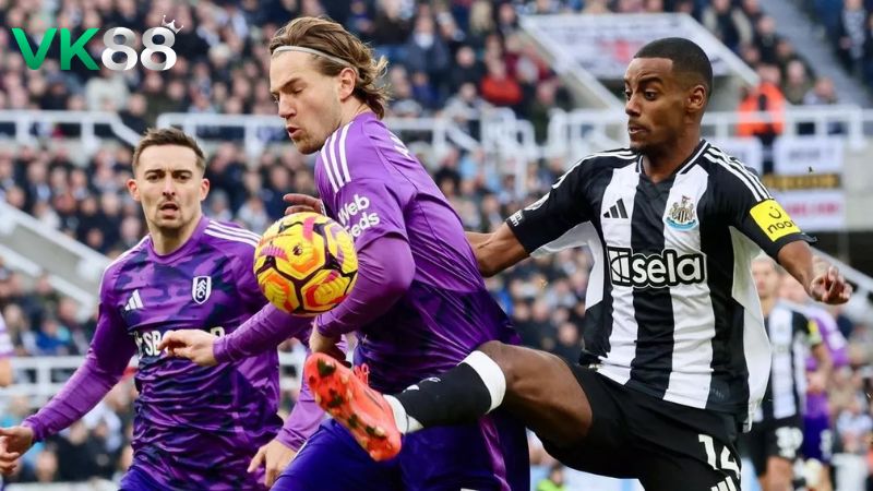 Lịch sử đối đầu Newcastle United vs Fulham