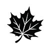 Fall Icon