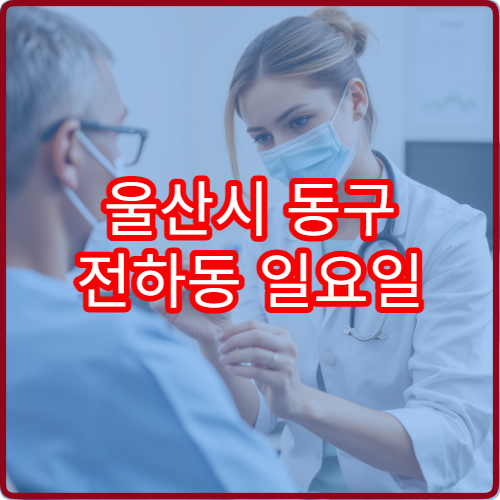 울산시 동구 전하동 일요일 내과 진료 가능한 병원 휴일 진료 정보 안내