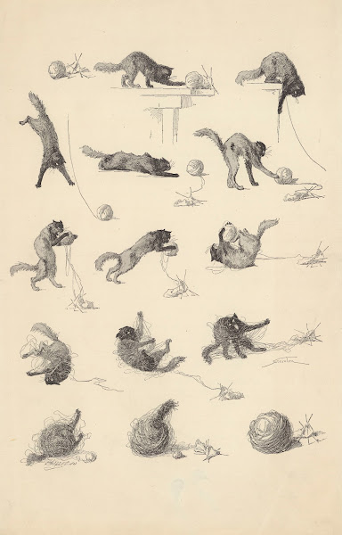Contes à Sara  Le Chat et la Pelote 1885