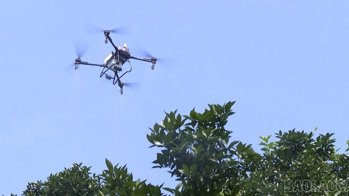 Nông dân xã Nghĩa Tâm ứng dụng flycam vào sản xuất - Báo Lào Cai