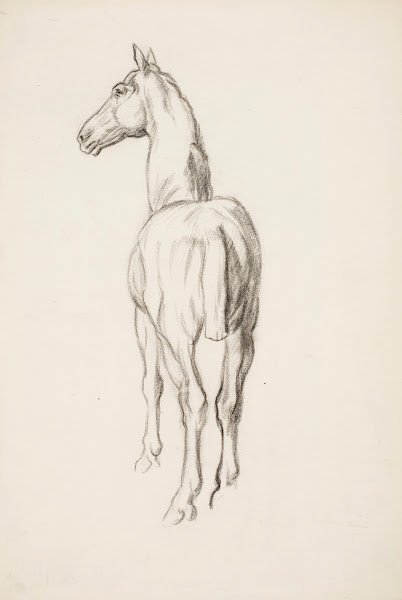 Hevosharjoitelma