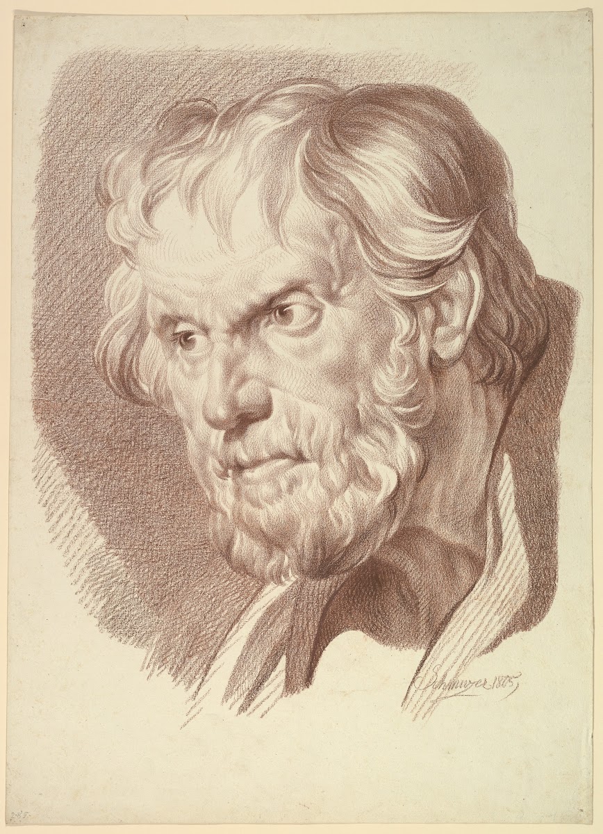 Head of Bearded Old Man 1805