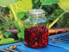 Dưới tác dụng của ánh nắng mặt trời, phần đường hầu như được hoà tan cùng với phần nước được tiết ra từ các trái atiso tạo nên một màu đỏ tự nhiên rất hấp dẫn. Phần atiso sau 7-10 ngày được lên men tự nhiên sẽ có màu đỏ tươi, vị chua thanh thanh có 1 ít ga và phần trái atiso thấm đường vẫn giữ được độ giòn nhất định.