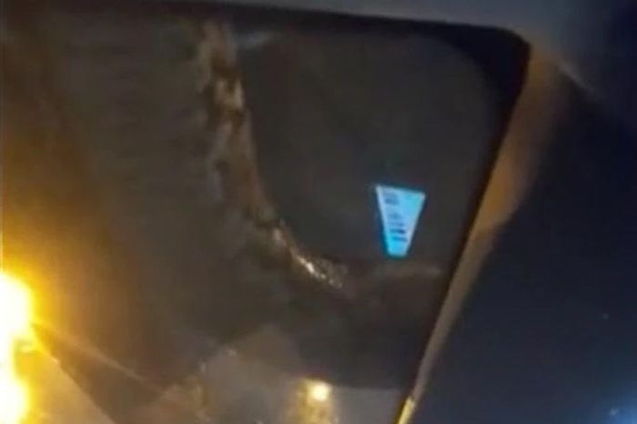 Tài xế tái mặt nhìn trăn dài 5m bò ngang kính chắn gió taxi - Tạp chí Doanh Nghiệp Việt Nam