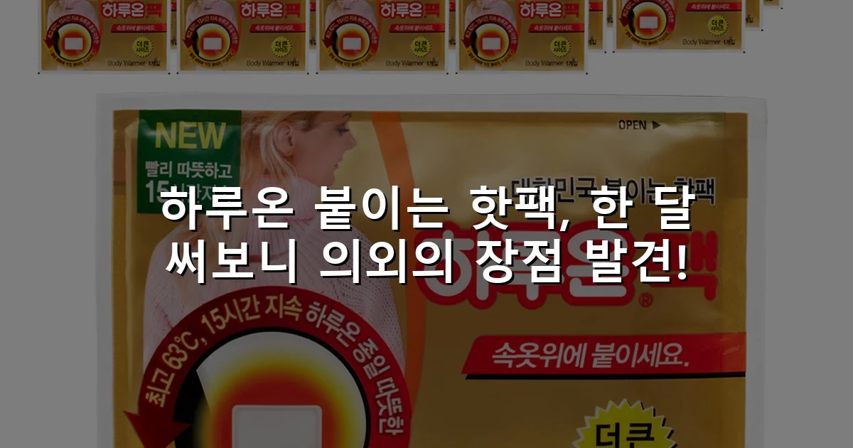 하루온 붙이는 핫팩, 한 달 써보니 의외의 장점 발견!