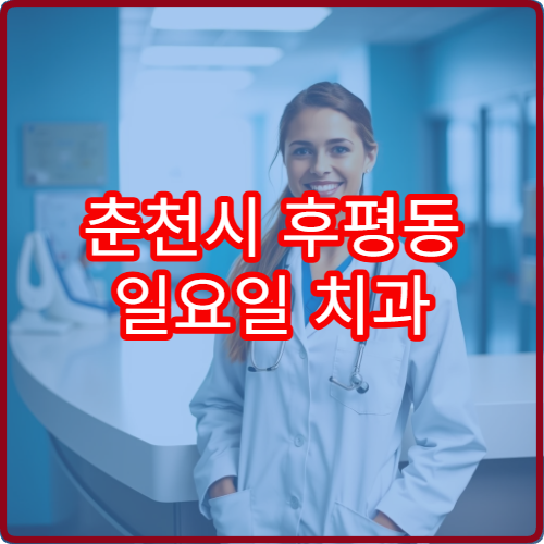 춘천시 후평동 일요일 치과 진료 병원 위치 정리