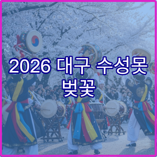 2026 대구 수성못 벚꽃 터널 사진 스팟 위치와 최적 촬영 각도 가이드