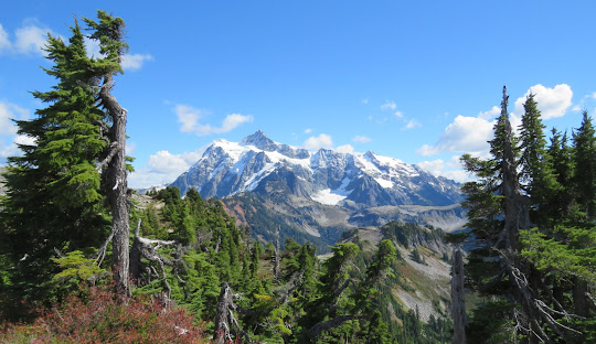 Whatcom County Epoxy Flooring