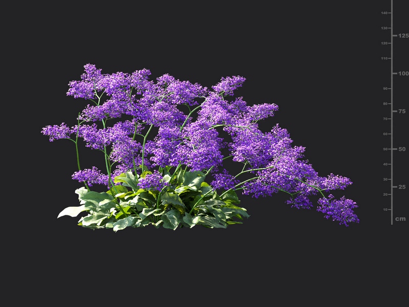 Maxtree - Plant Models Vol.115